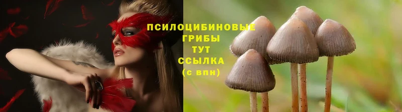 Псилоцибиновые грибы MAGIC MUSHROOMS  Саки 